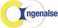 Ingenalse